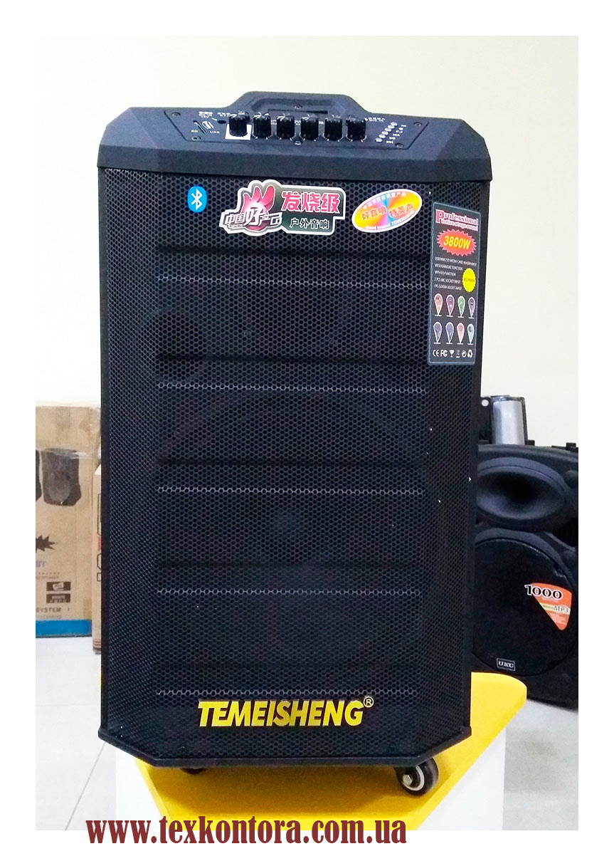 Temeisheng Аккумуляторная акустика караоке + 2 радиомикрофона 12-15 BT. Bluetooth