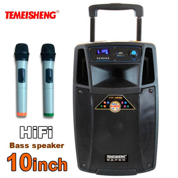 Temeisheng Большая колонка SL1001 с микрофонами аккумуляторная акустика 2 микрофона