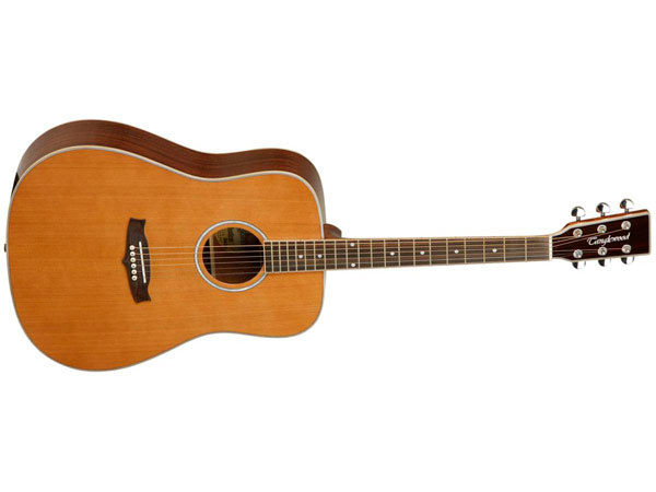 Tanglewood Гитара TW28 CSG