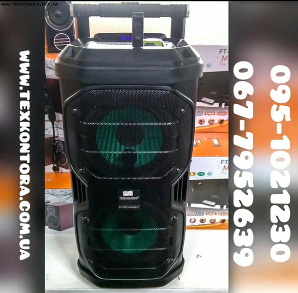 Temeisheng Колонка 2 радиомикрофона SL208 22 Bluetooth аккумулятор