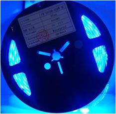 SHINP Светодиодная лента LED-5050 голубая